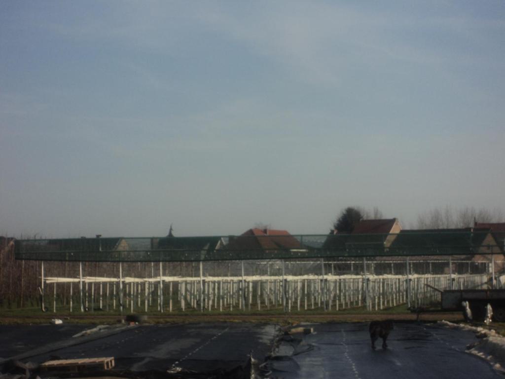 Juwel Fruithof Apartment Zepperen ห้อง รูปภาพ